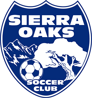 A Capitol Tech Solutions Website